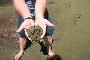 Ooooooh green sand! So sparkly!
