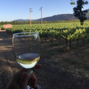 Happier times: enjoying a glass of wine on the Napa Valley Wine Train.